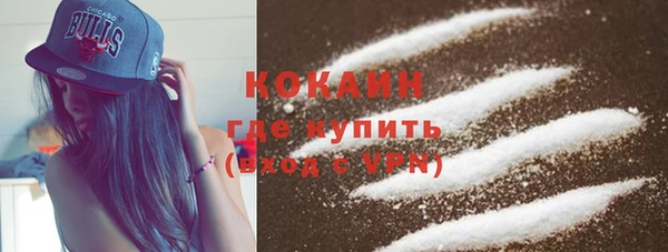дживик Абаза