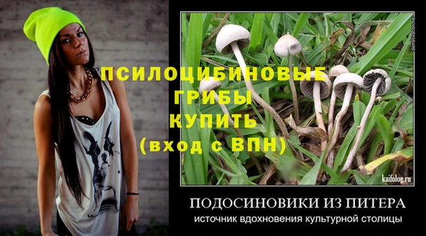 дживик Абаза