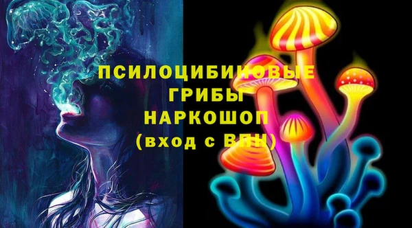 дживик Абаза